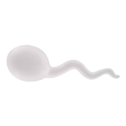Stress Sperms